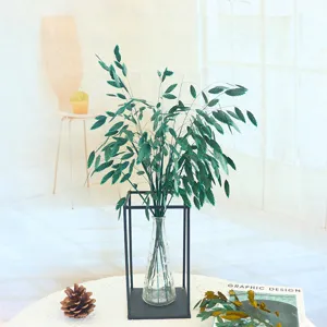 Dried green oat grass bouquet in glass vase Nordic home decor aesthetic dried plant ornament