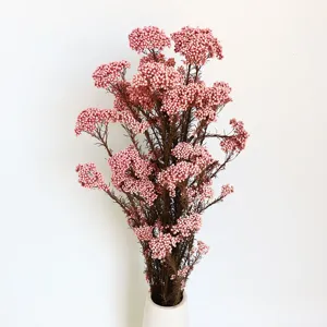 Dettaglio bouquet di fiori di riso secchi rosa, materiale vegetale naturale per decorazioni.