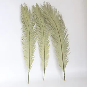 Natural dried cycad leaves palm leaf decor 3 pieces set for wedding home interior floral arrangement