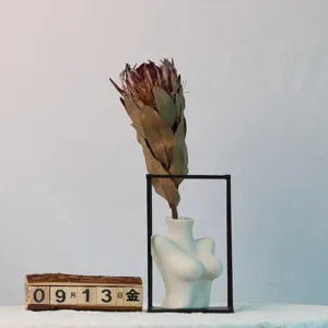 Dried protea flower with human body vase and calendar for home decor photography display.