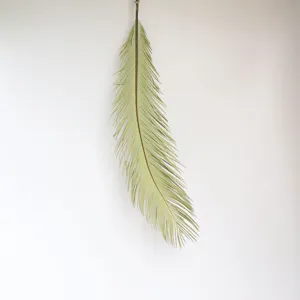 Natural dried cycad leaf branch, bohemian style wedding and home decor floral arrangement.
