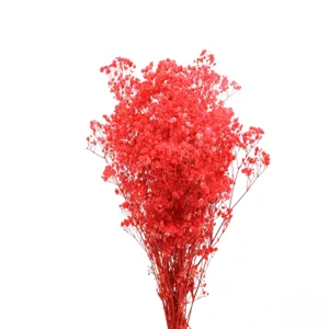 Red preserved baby's breath dried flowers bouquet for home decor florist arrangement gift.
