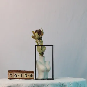 King Banksia dried flower home decor ornament with body vase and desk calendar props