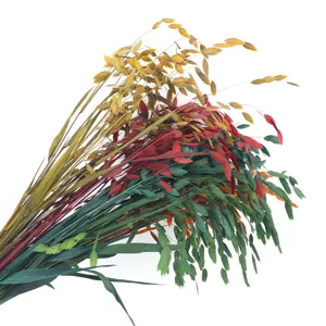 Colorful dried grass bouquet natural preserved flowers for Nordic home room decor 40cm