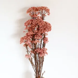 Mazzo di fiori di riso essiccati e stabilizzati per decorazione floreale fai da te.