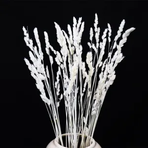 Primo piano dettagliato di un bouquet di erba della pampas bianca secca in vaso.