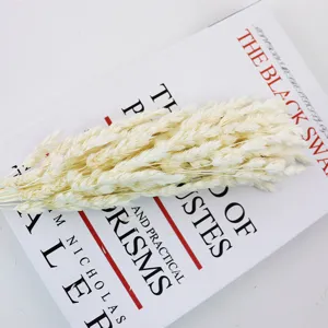 Primo piano dettagliato di un bouquet di erba della pampa bianca secca su libro.