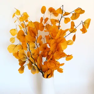 Autumn preserved eucalyptus leaves detail view, dried plant bouquet in white ceramic vase.