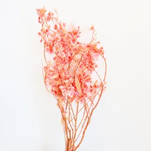 Detailed close-up of pink preserved butterfly flowers, natural dry floral decor for weddings.