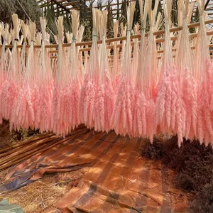 Erba della Pampas Essiccata Naturale Piccolo Mazzo di Cannucce Fiori Secchi Per Soggiorno Festa Decorazione della Casa Accessori di Fotografia
