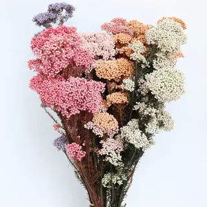 Bouquet di fiori di riso preservati secchi colorati per decorazione casa e fai da te.