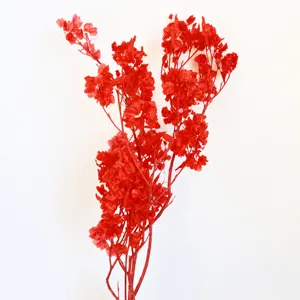 Detail view of red preserved butterfly flower branch, natural real plant material for wedding decor.