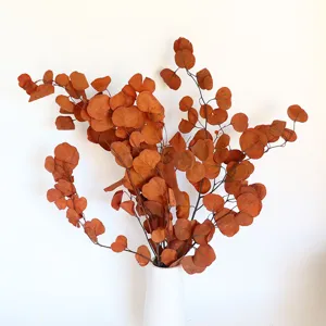 Dried eucalyptus leaves bouquet autumn color decorative branches for home room floral arrangement