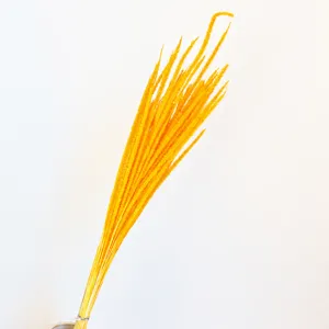 Yellow dried goldenrod bouquet flower detail shot for Nordic home living room floral decor.