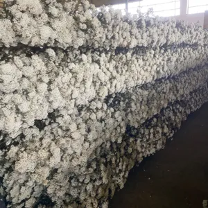 Fiori di riso bianchi conservati sfusi per aromaterapia fiore galleggiante fai da te forniture all'ingrosso