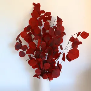 Detailed view of red preserved eucalyptus leaves bouquet in white vase for home decor.