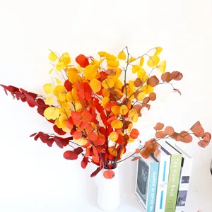 Preserved autumn eucalyptus leaves bouquet, colorful round apple leaf dried flower home decor.