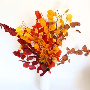 Colorful preserved eucalyptus leaves bouquet autumn dried plants home decor floral arrangement