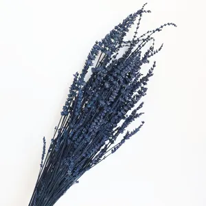 Dried lavender flowers bouquet in deep blue for home decoration and room aesthetic interior design.