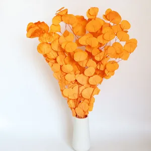 Orange preserved eucalyptus leaves detail shot, natural dried round leaves bouquet in white vase decor.