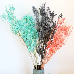 Natural Preserved Flower Dried Butterfly Flower Bouquet For Wedding Party Home Decor Floral Arrangement