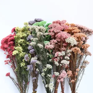 Fiori di Miglio Preservati Bouquet di Fiori Secchi Decorazione Floreale Botanica Naturale Per Casa Matrimonio Fai da Te Artigianato Fotografia Oggetti