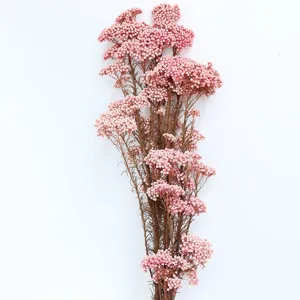 Fiore di riso rosa preservato mazzo di fiori secchi per fai da te decorazione casa.
