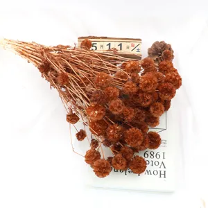 mazzo di fiori di pino secchi dettaglio, decorazione botanica naturale per artigianato d'aroma.