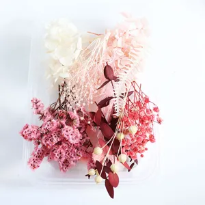 Geconserveerde gedroogde bloemen DIY materiaalpakket kleurrijke mix voor knutselen