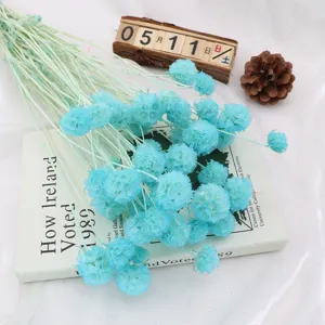 Fiori secchi naturali di scabiosa blu preservati per cupola di vetro decorazione casa