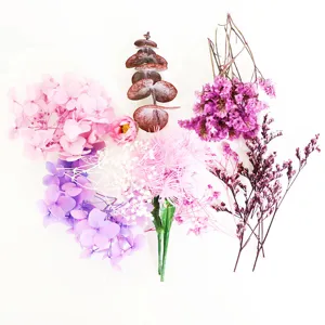 DIY geconserveerde gedroogde bloemen set met roze hortensia en eucalyptusbladeren