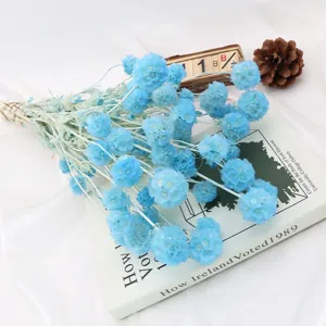 Vista dettagliata di un mazzo di fiori secchi blu chiaro per la bella decorazione d'interni.