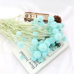Bouquet di fiori di scabiosa essiccati azzurri, composizione naturale per la decorazione.