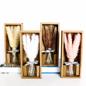 Piccola erba della pampa secca in vaso di vetro con confezione regalo decorazione festa