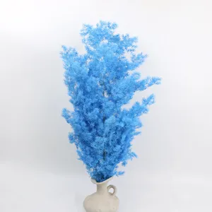 Blue preserved asparagus fern detail view, perfect for DIY craft and floral decoration project.
