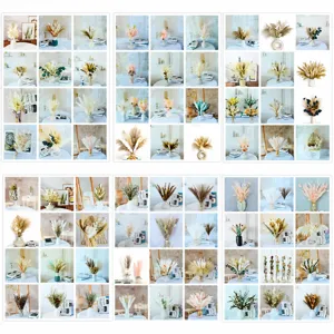 Mazzo di erba pampa secca naturale perfetta per la decorazione della casa e festa.