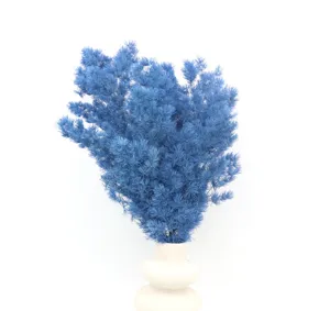 Blue preserved asparagus fern flower material detail, DIY craft material for gift box decor.