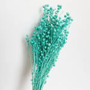 Teal dried flax seed pods detail view, natural floral stems for home decor and crafts styling.