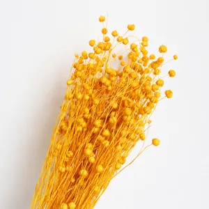 Natural dried flax flower seed pods bunch for home decor, floral arrangement and rustic craft design.