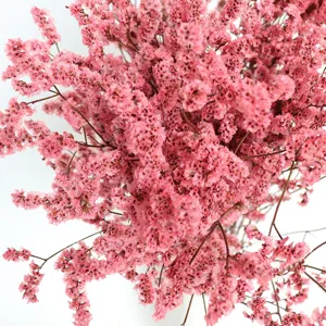 Pink dried preserved crystal grass bouquet for home decoration and flower photo props.