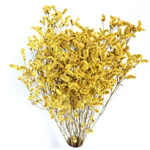 Natural preserved dried crystal grass flower bouquet for home decor and photography props.
