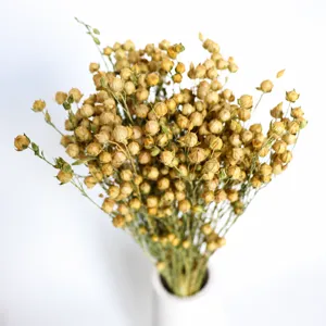 Natural dried flax pods flower bouquet in white vase for home decor crafts wholesale
