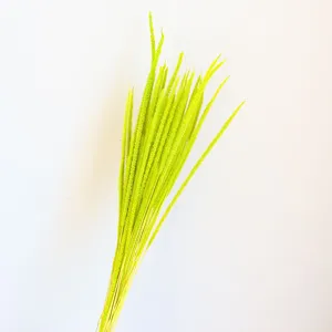 Bright yellow green dried foxtail grass bouquet for modern home living room decor