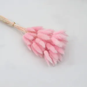 Pink dried bunny tail grass bouquet, fluffy stems for chic home decor and aesthetic vase display.