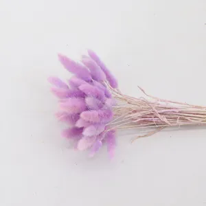 Natural purple dried bunny tail grass bouquet for home decoration, bohemian style flower.