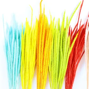 Colorful dried flower bouquet, natural grass plants for home decor and nordic floral styling.