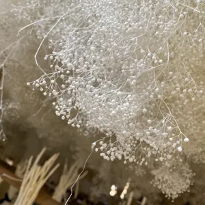 Close-up detail shot of white dried preserved baby's breath flowers for floral arrangement DIY.