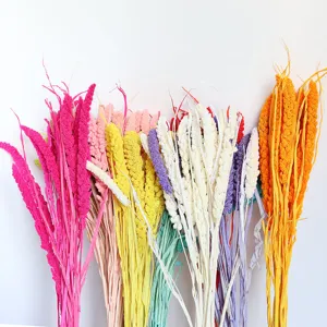 Natural Dried Flower Bouquet Millet Spike Bunny Tail Grass Ins Style Home Decor Photography Props