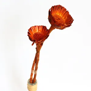 Natural dried sunflower plant decor brown flower bouquet for home office table decoration