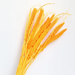 Natural dried foxtail millet bouquet, yellow floral stem for home decor and photo props.